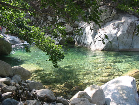 La rivi�re Restonica