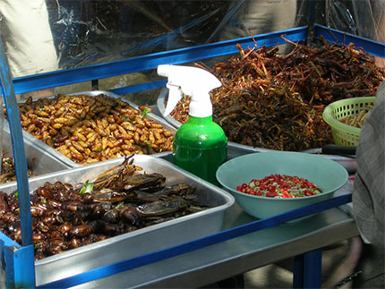 Etal d'insectes sur un march�