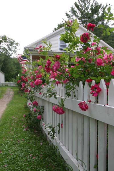 Cl�ture fleurie