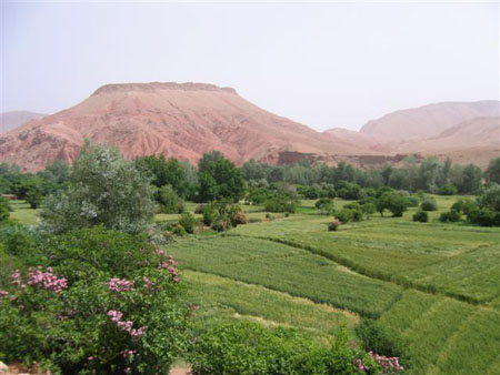 Vall�e du Dr�a