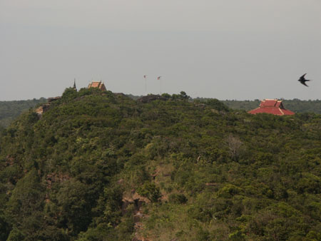 Temples dans la jungle