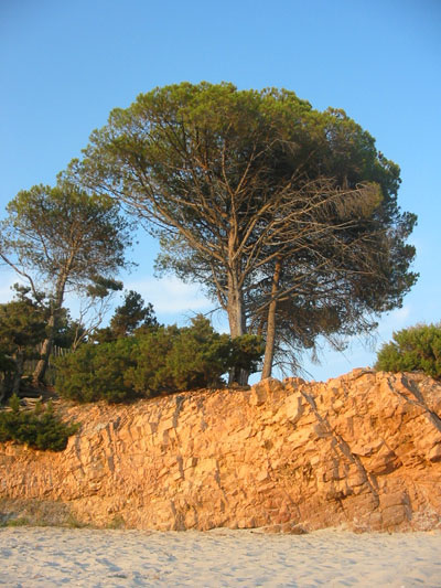 Plage de Palombaggia