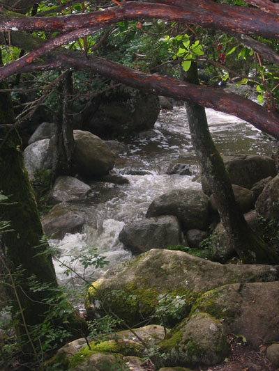 Bavella