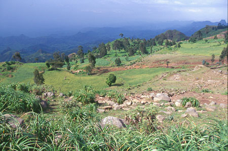 Parc du Simien
