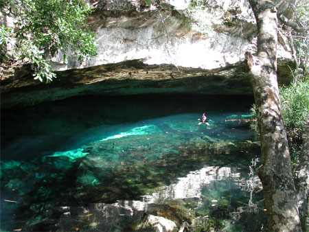 Plong�e dans les cenotes