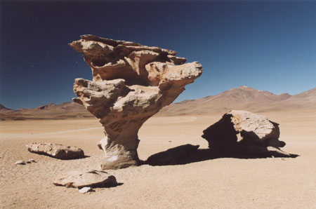 Arbre de pierre