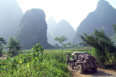 Rizi�res de Yangshuo