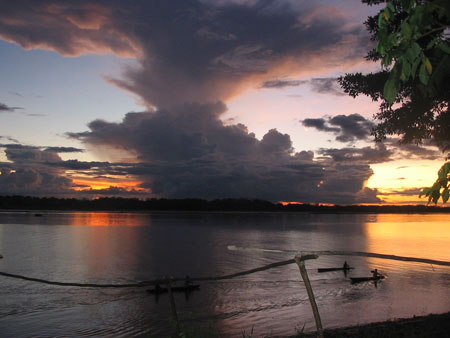 Amazona Sunset