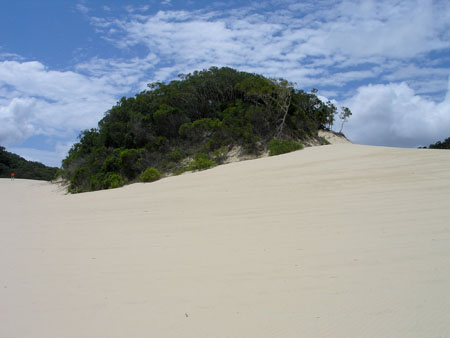 Fraser Island, la plus grande �le de sable au monde