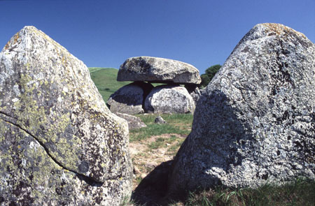 Dolmen de Posekaer Stenhus