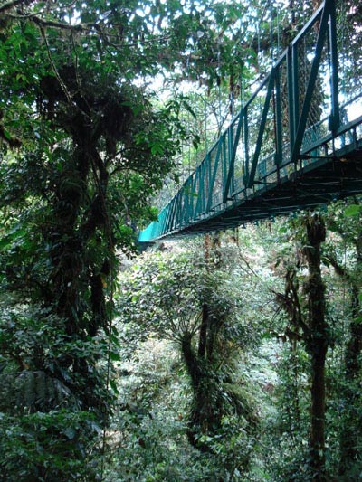Pont suspendu � Monteverde