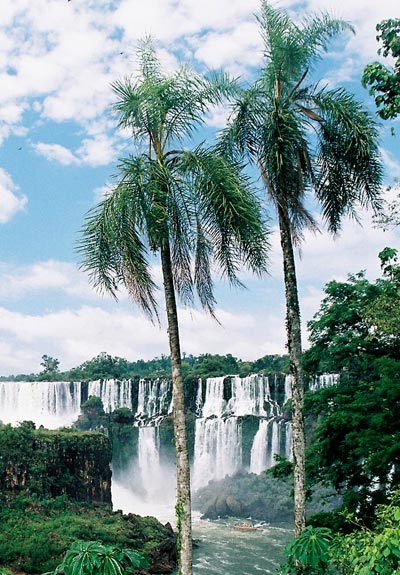 Chutes d'Iguazu c�t� argentin