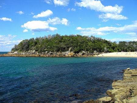 Shelly Beach