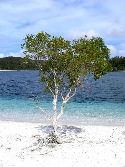 Lake McKenzie, Fraser Island