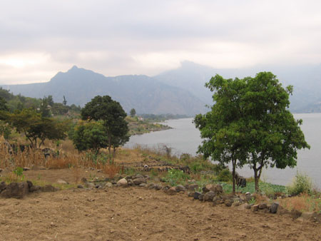 Paysage...