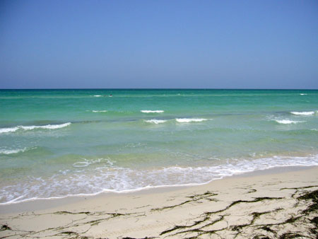 Plage paradisiaque