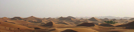 D�sert aux environs d'Al Ain