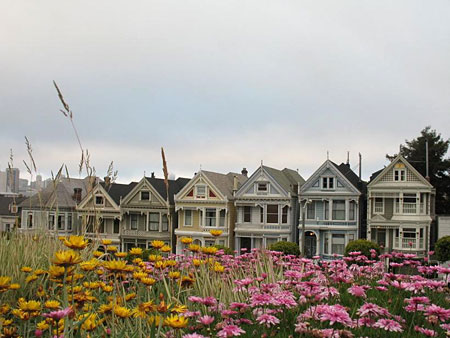 Alamo Square et ses maisons victoriennes
