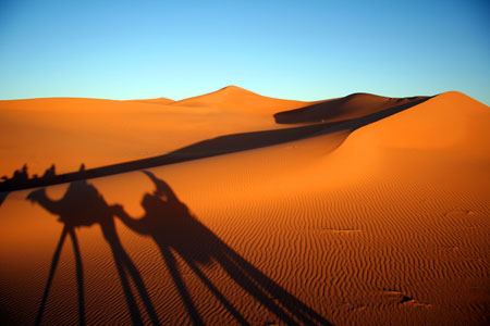 Caravane � Erg Chebbi