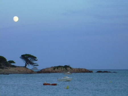 Clair de Lune