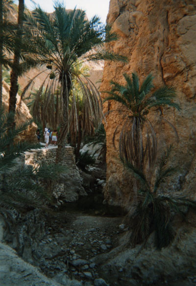 Oasis de montagne