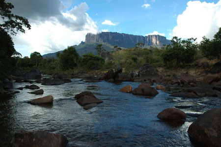 Rio Kukenan dans la r�gion des tepuys
