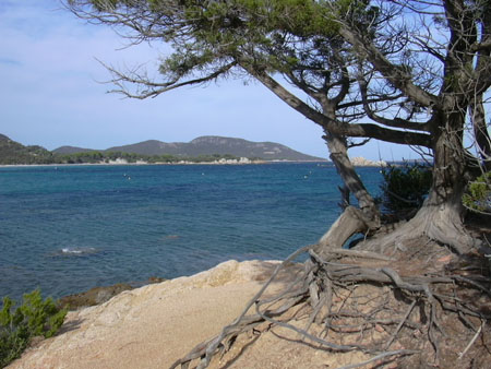 Balade en bord de mer � Bocca di l'Oro