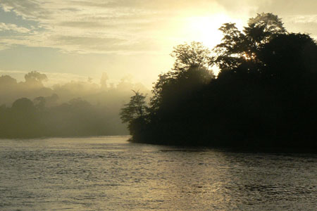 Lever de soleil sur la jungle pr�s de la rivi�re Sukau