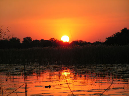 Coucher de soleil au coeur du delta de l'Okavango