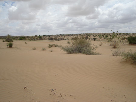D�sert du Thar