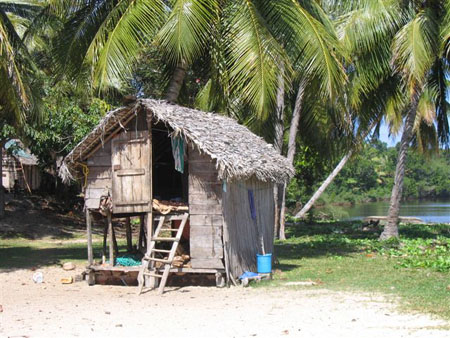 Habitat traditionnel � Antalaha
