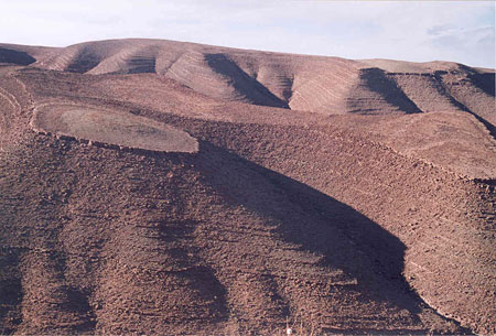 Haut de la vall�e du Draa