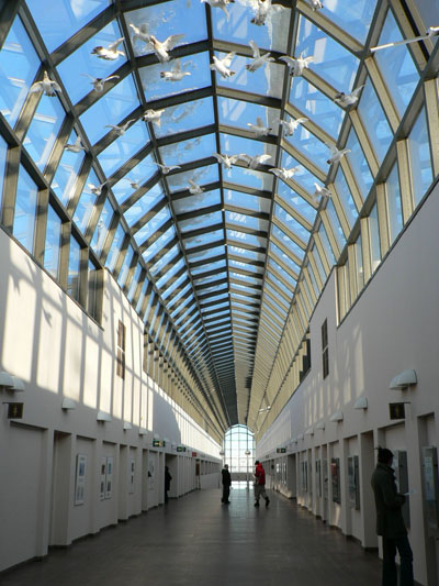 Mus�e Artikkum