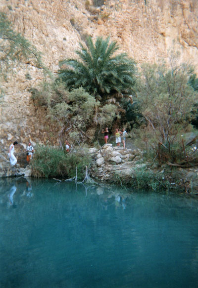 Oasis de montagne