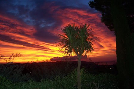 Cannes � l'aurore