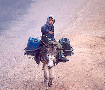 Porteur d'eau