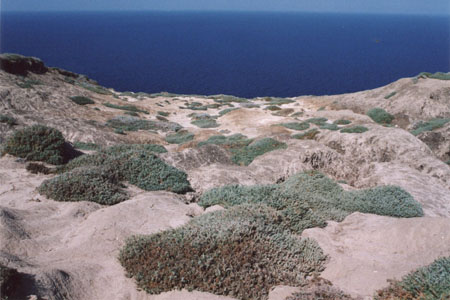 Channel Islands