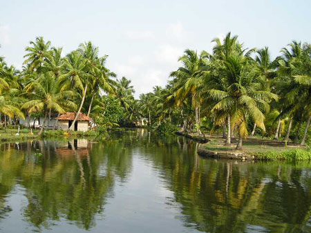 Backwaters entre Quilon et Allepey