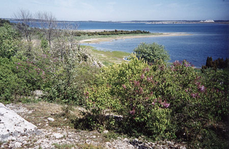 C�te est de l'�le de Gotland au printemps