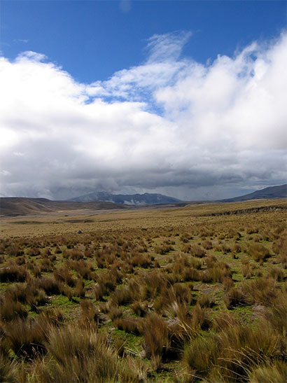 Paysage du parc du Cotopaxi
