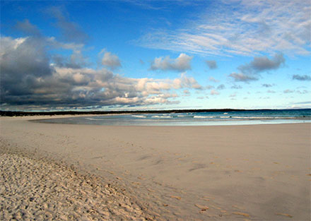 Plage de Tortuga Bay