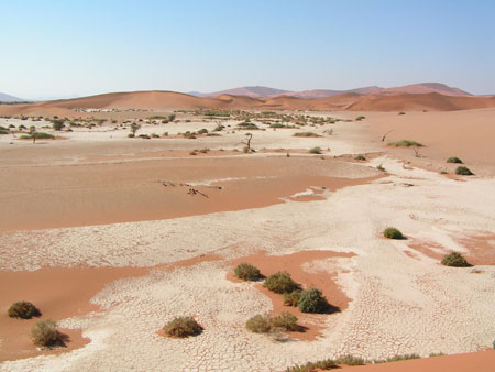 Dead vlei