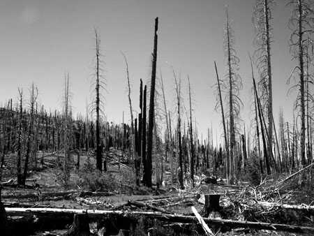 Desolation