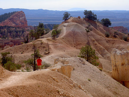 Bryce