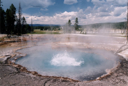 Lower Geyser Basin