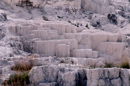 Minnerva Terrace