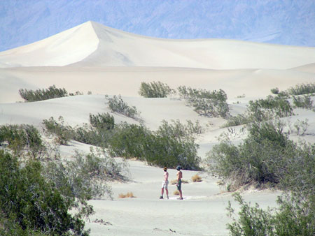 Perdus