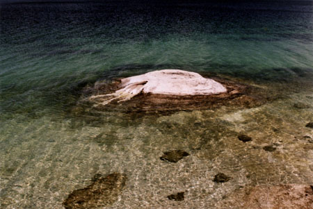 Fishing Cone