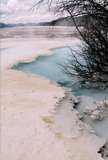 Mammoth Hot Spring