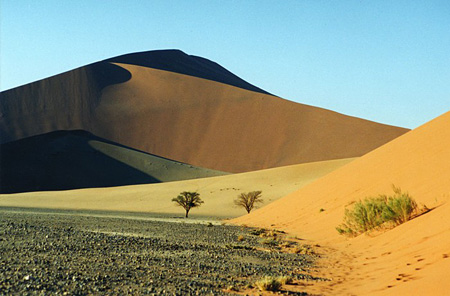 La nature artiste